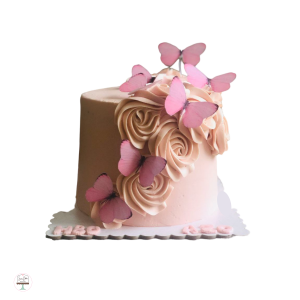 Pink butterfly Cake